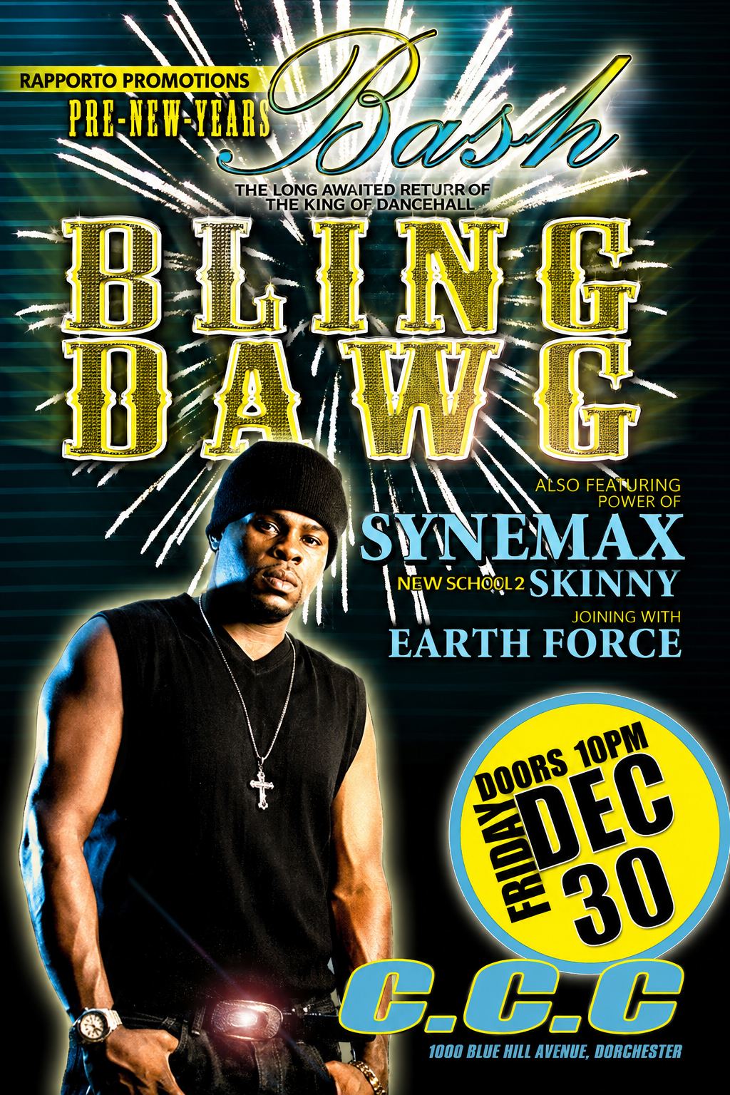 BLING DAWG — PRE-NEW YEAR'S BASH